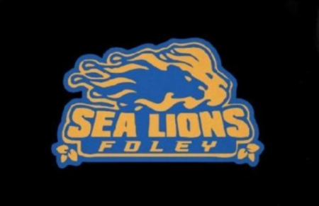 Foley Swim Team logo